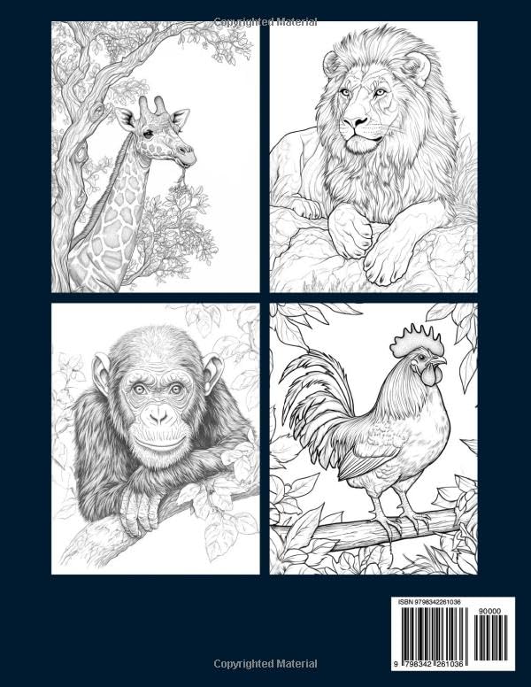 Amazing Animals Back Cover