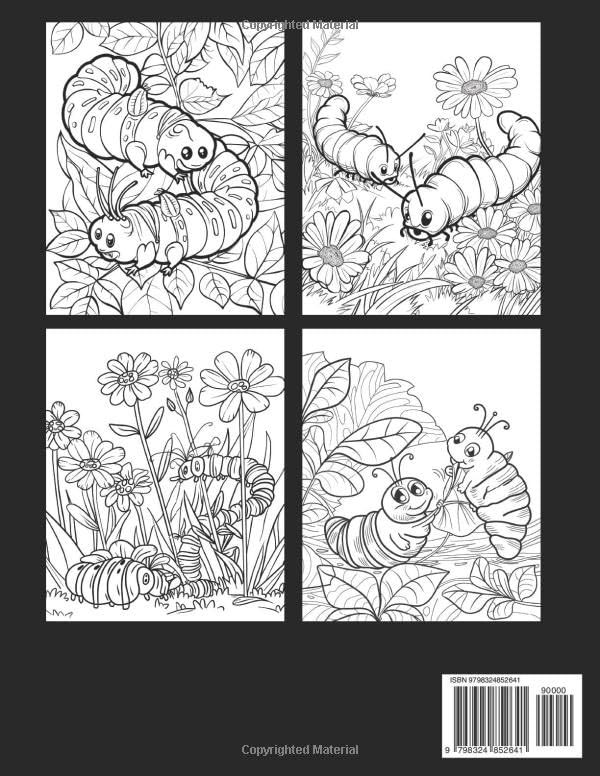 Curious Crawlers Back Cover